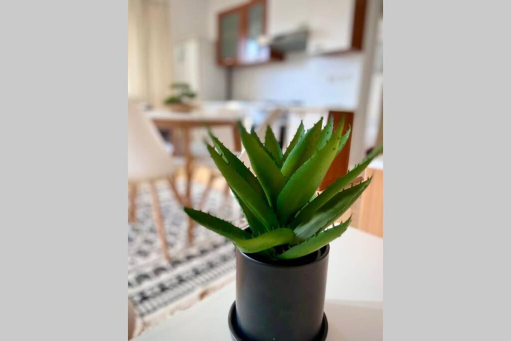 Cozy Apartment אומאג מראה חיצוני תמונה